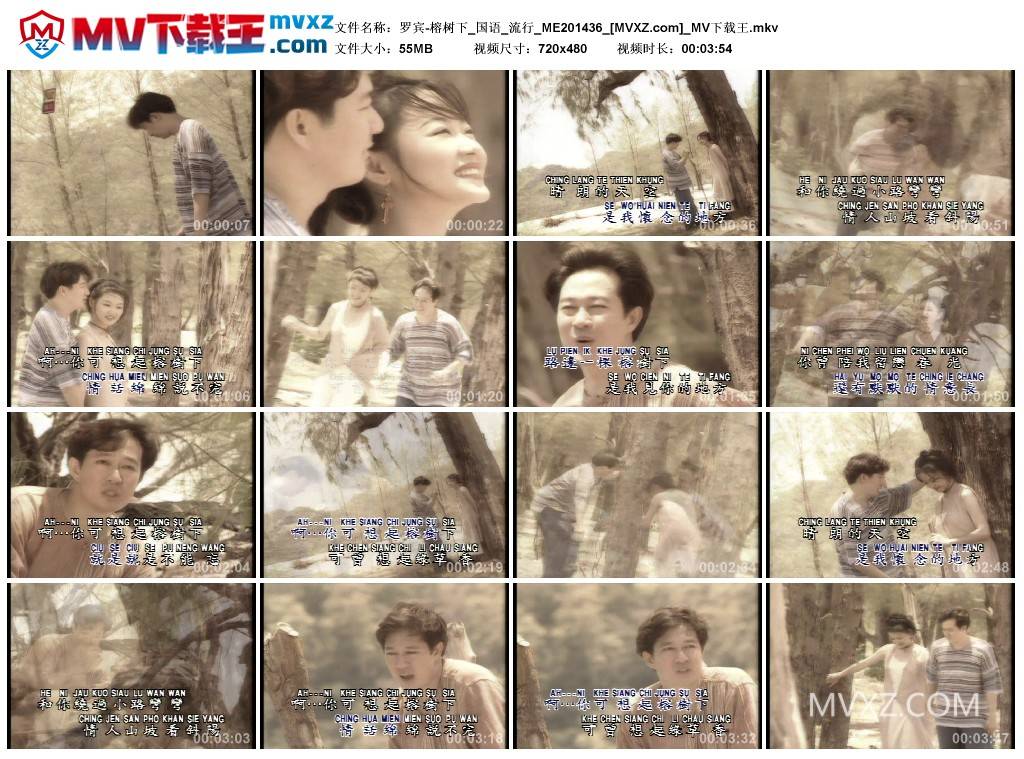 罗宾-榕树下_国语_流行_ME201436